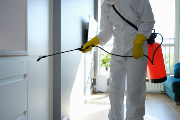 Best Kitchen Mold Remediation in Hamtramck, MI