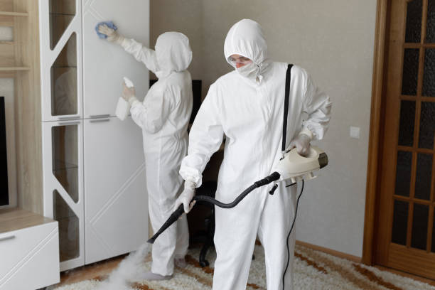 Best HVAC Mold Remediation in Hamtramck, MI